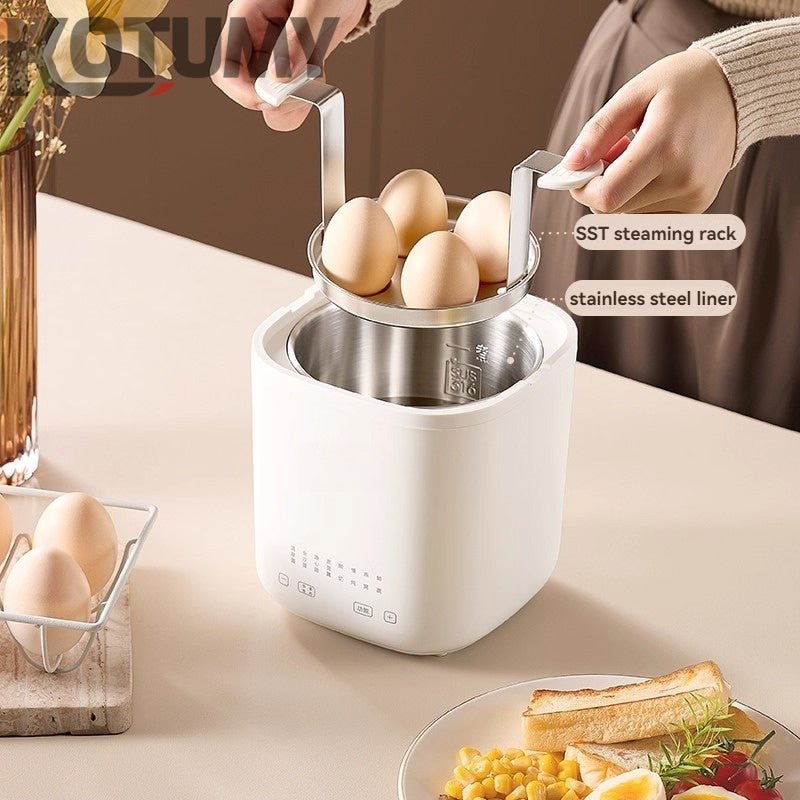 Small egg cooker for home use with automatic power off at irregular intervals
