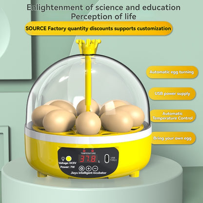 Small household intelligent incubator, waterbed parrot fully automatic incubator